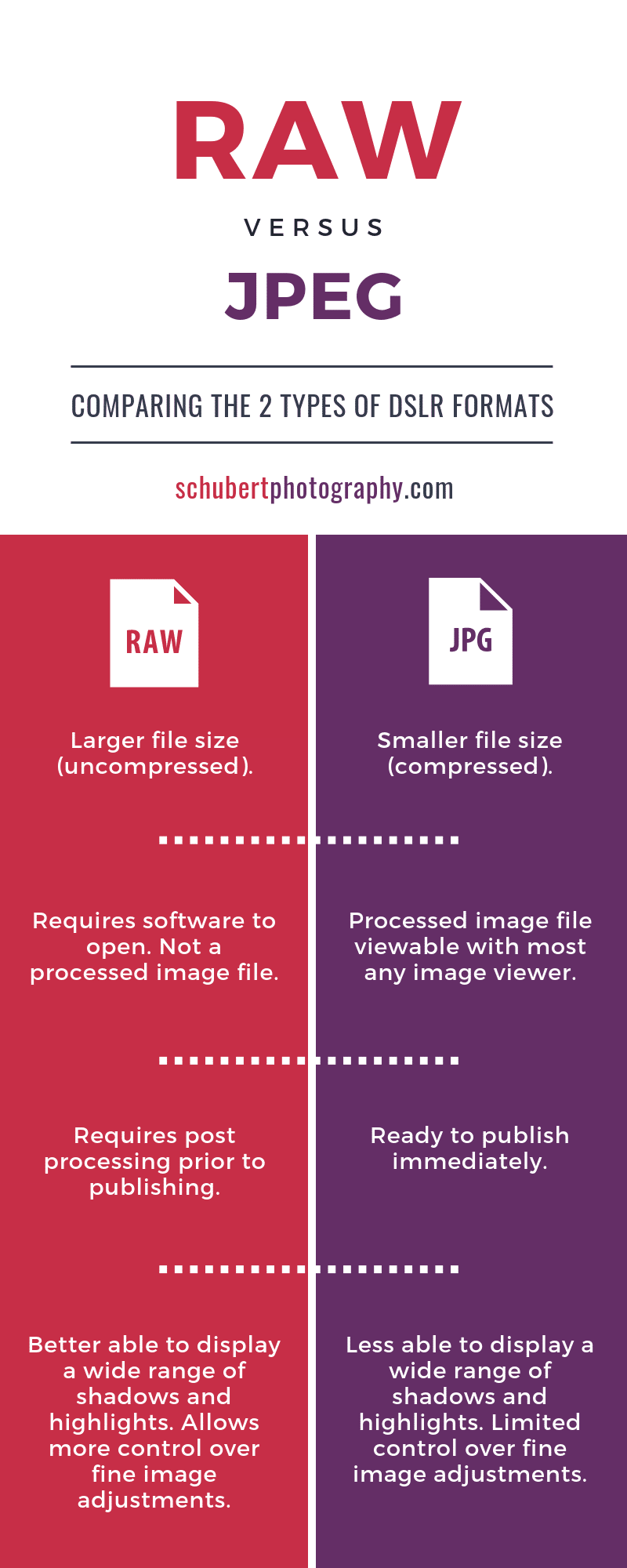 RAW versus JPEG Comparison Chart Infographic